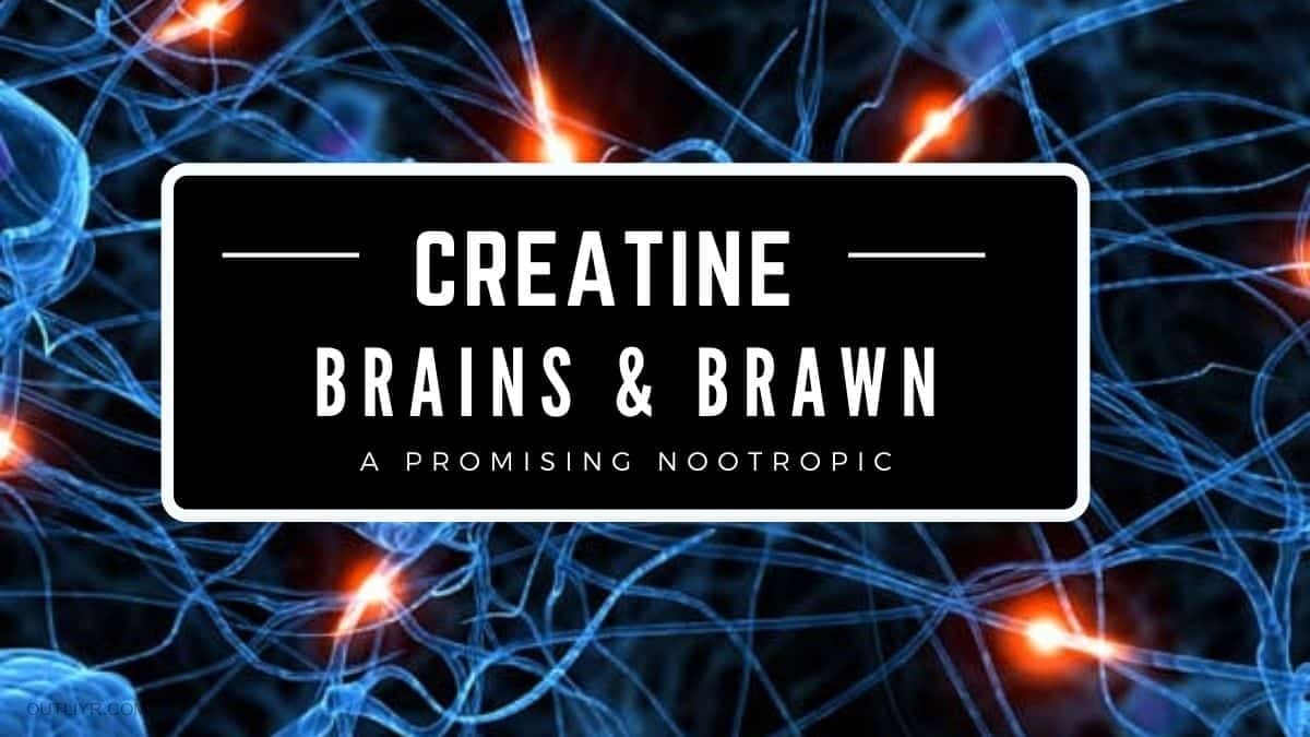 Research shows creatine supplements benefit the mind in a variety of ways.