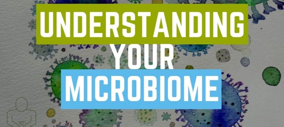 understanding microbiome