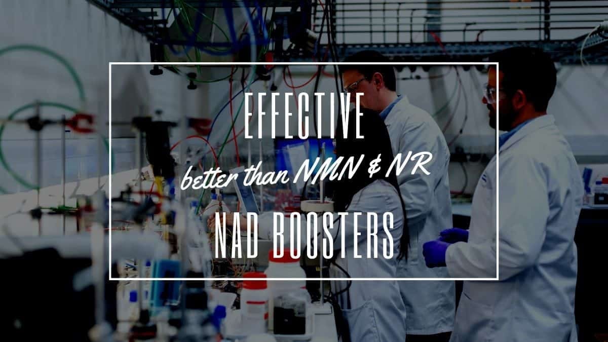 Effective Alternative NAD Boosters