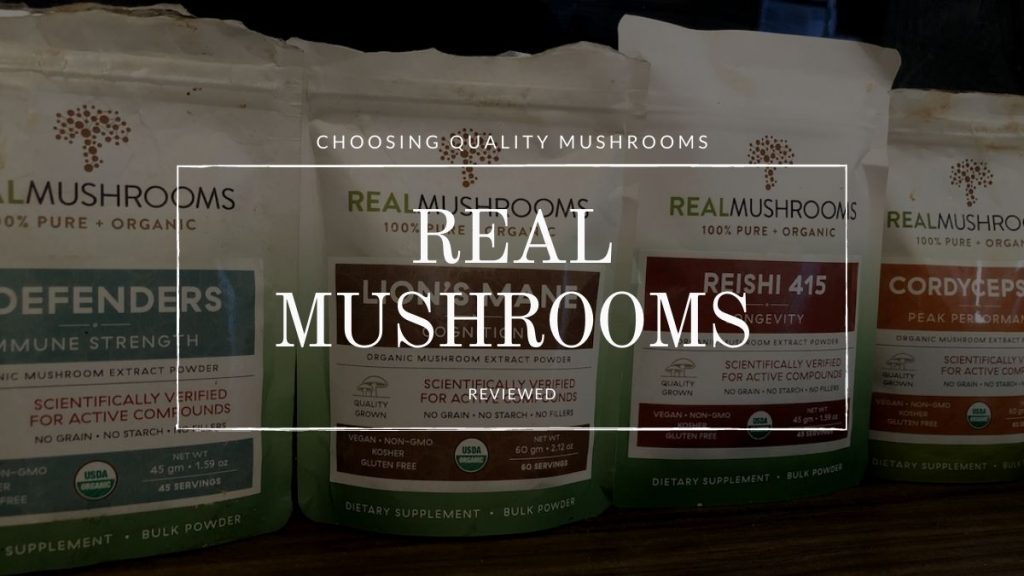 Real Mushrooms Products Review