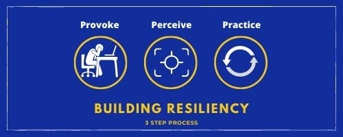 Resilience Plan