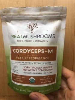 Real Mushrooms Cordyceps Supplement