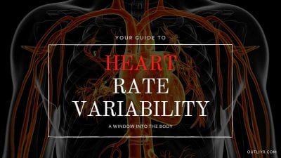 Heart Rate Variability (HRV) Top Biometric to Track