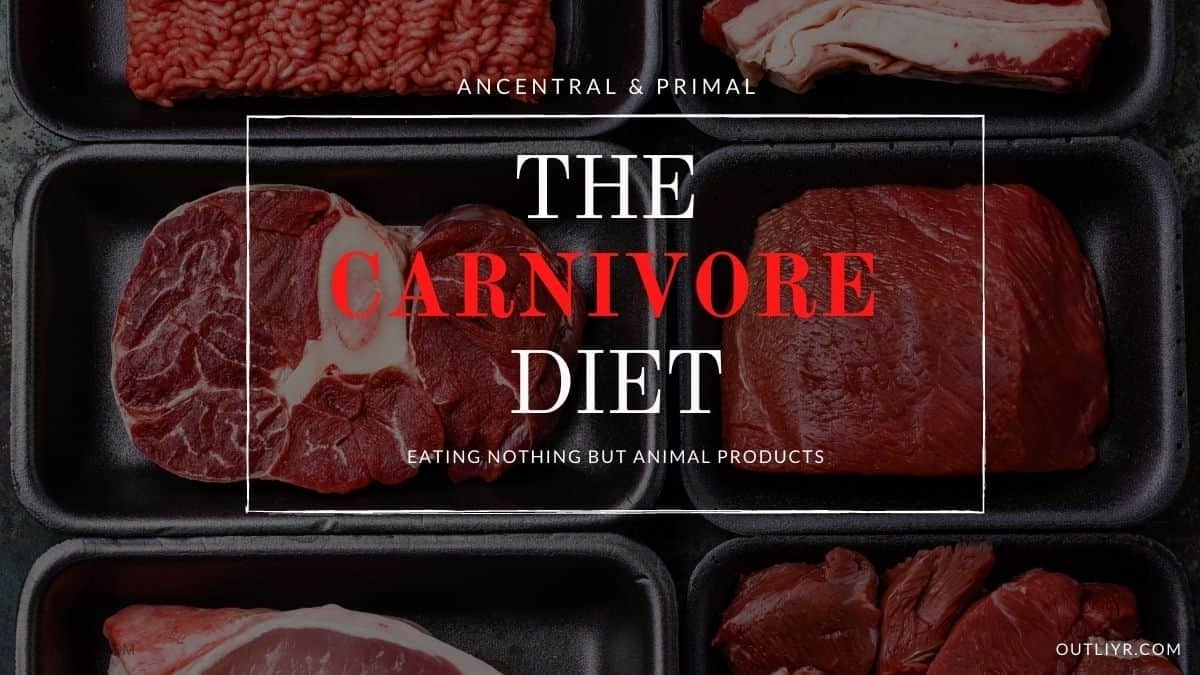 Personal Experience Carnivore Diet Eating All Meat