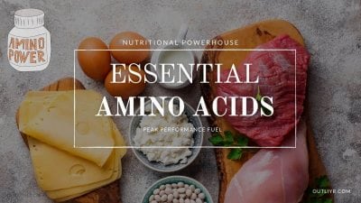 Essential Amino Acids (EAAs) for Peak Cognition & Physical Performance