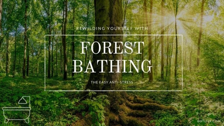 Forest Bathing