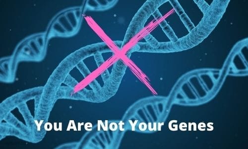 You Are Not Your Genes