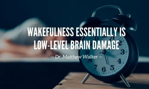 Wakefulness LowLevel Brain Damage Quote by Dr Matthew Walker.