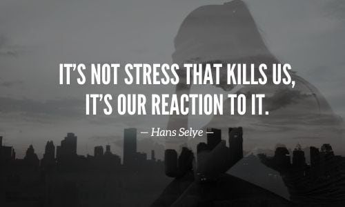 Stress Reaction Kills Quote by Hans Selye