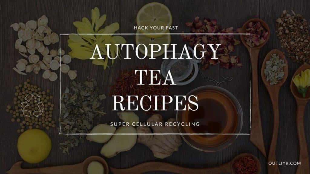 2 Autophagy Tea Recipes Hack Your Fast