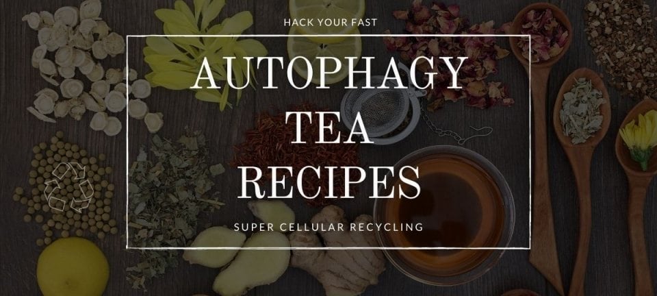 Autophagy Tea Recipe