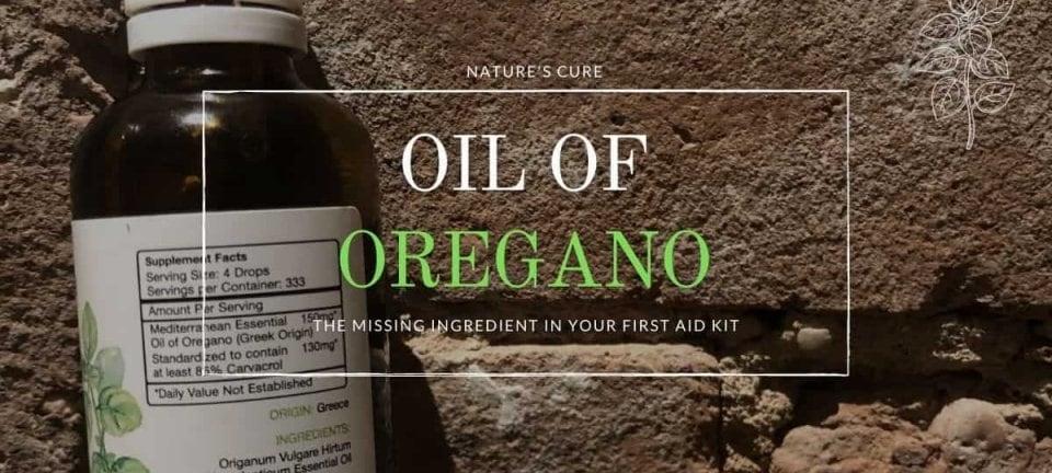 Oregano Essential Oil Supplement: Nature's Cure