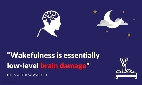 Dr Matthew Walker's Wakefulness Brain Damage Quote
