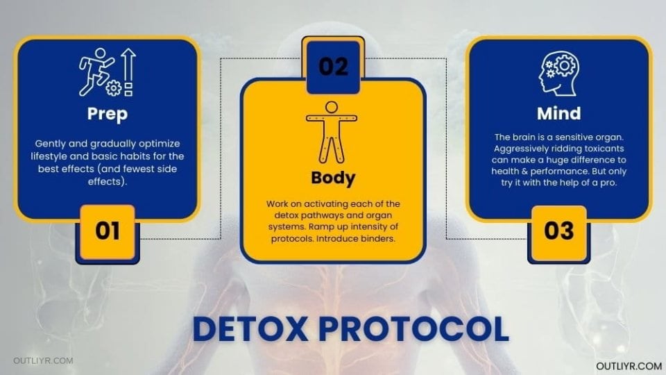 Outliyr detoxification protocol to implement true cellular cleaning