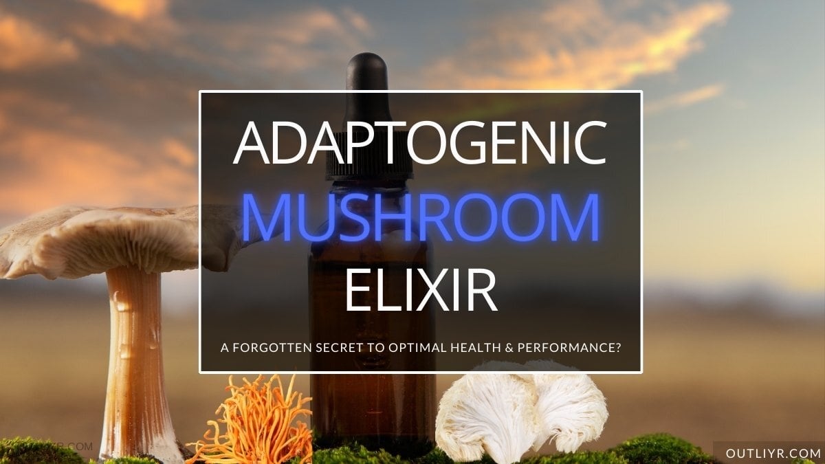 Ultimate Guide to Adaptogenic Mushrooms: Everything You MUST Know