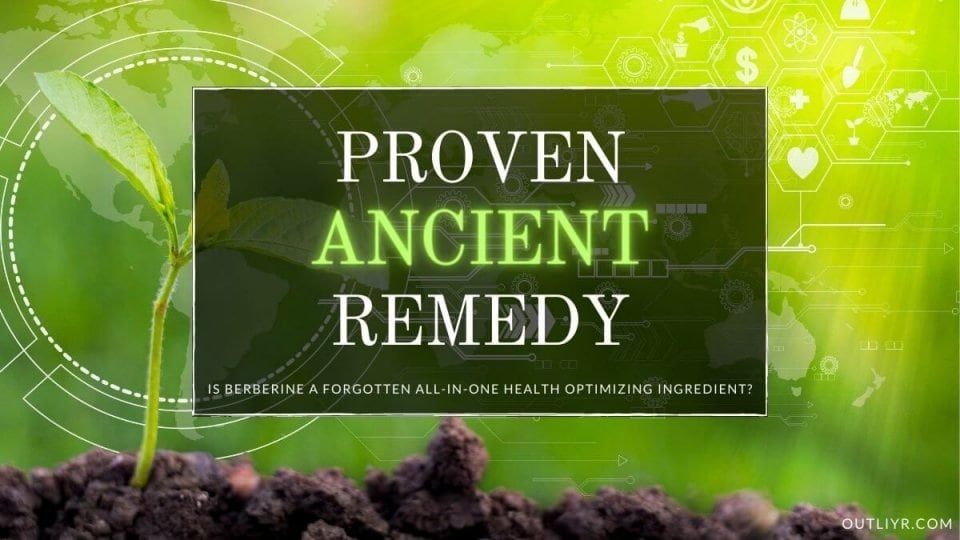 Best Berberine Supplements