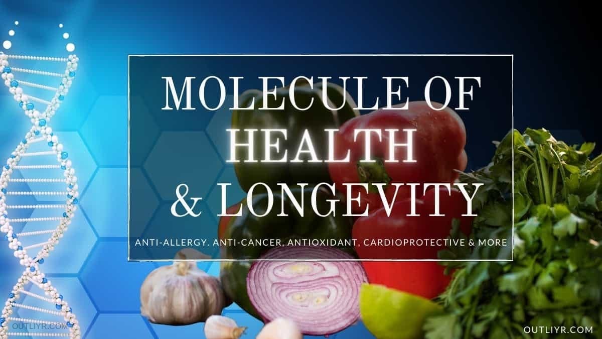 Best Bioavailabile Quercetin Supplements Review