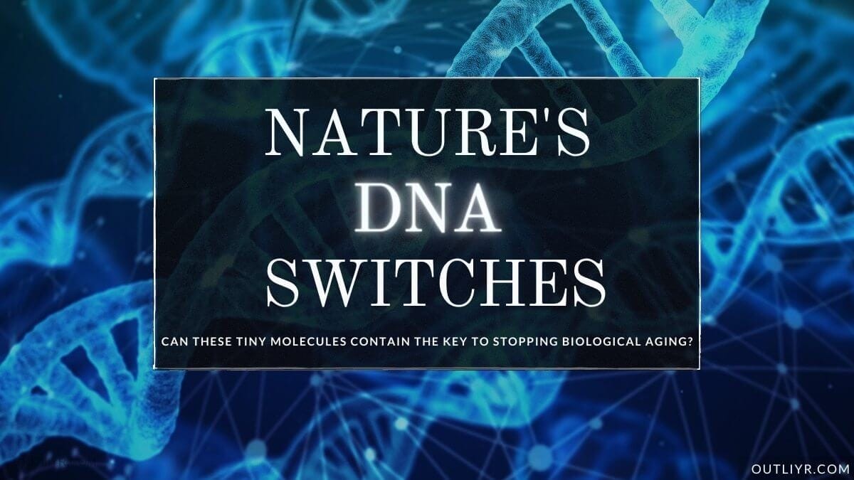 30+ Best Bioregulator Peptides: Nature’s Powerful Epigenetic “Switches”