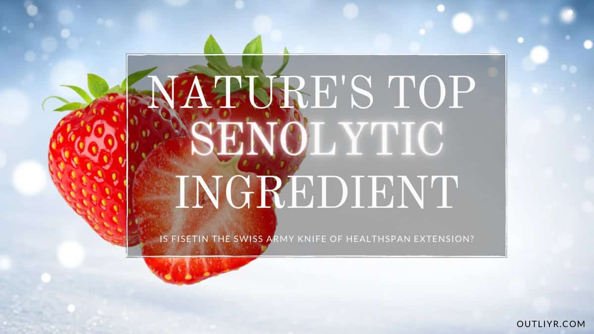 Best Fisetin Supplements Review & Comparison