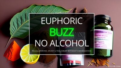 Best Healthy Alcohol Alternatives Drunk Buzz