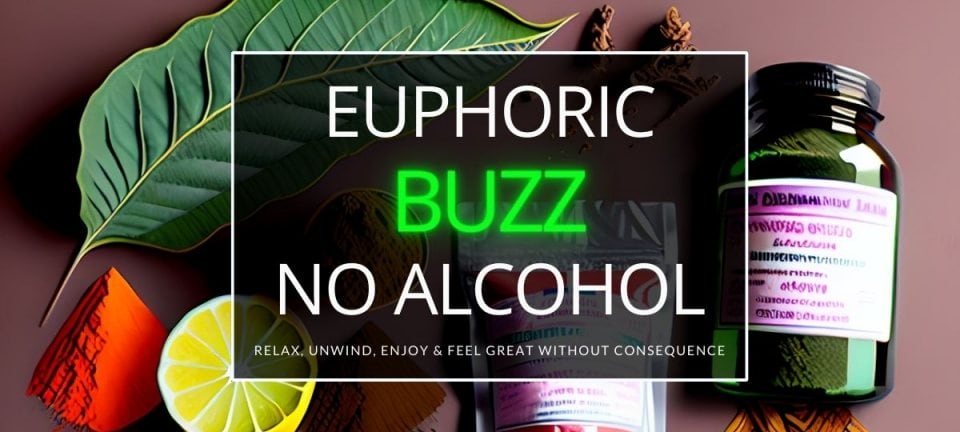 Best Healthy Alcohol Alternatives Drunk Buzz