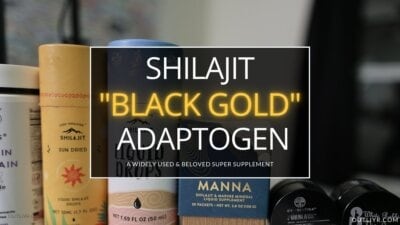 Best Shilajit Brands Resins Supplements Review