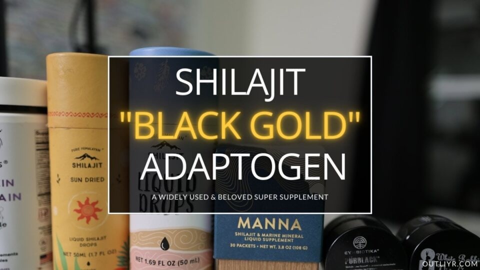 Best Shilajit Brands Resins Supplements Review