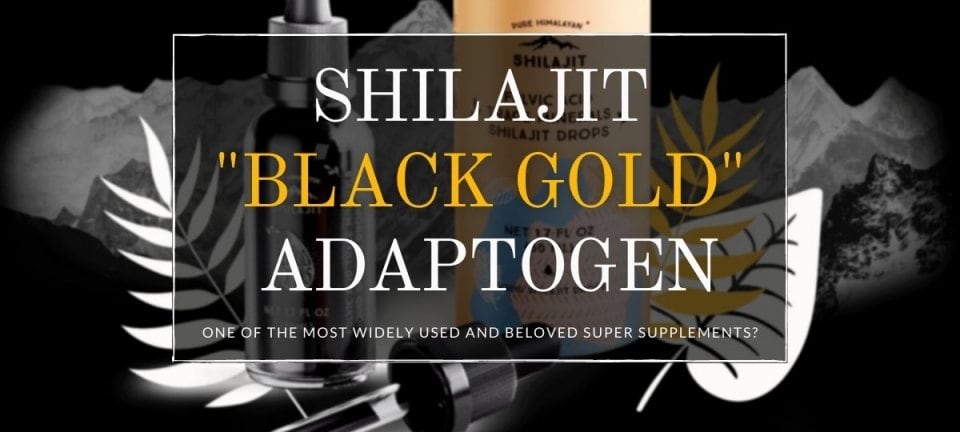 Best Shilajit Brands Supplements Resins Review