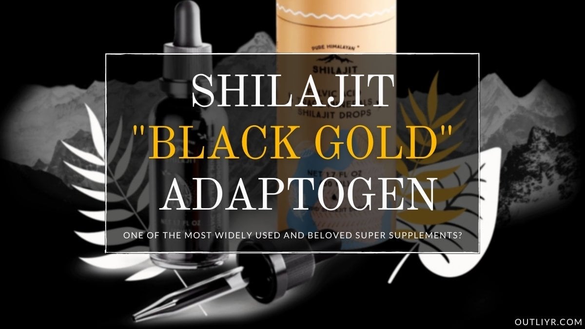 Best Shilajit Brands Supplements Resins Review