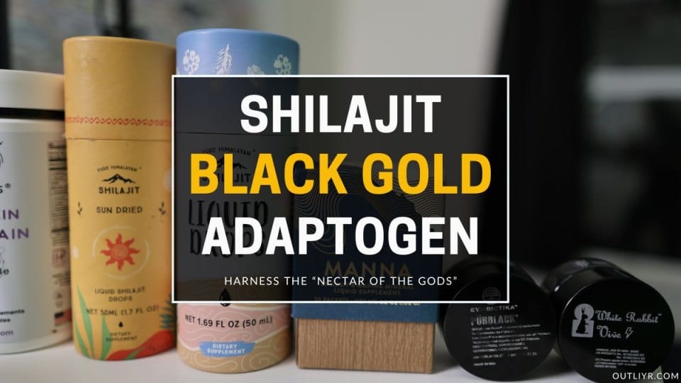 Best Shilajit Supplements