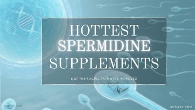 Best Spermidine Supplements Review for Healthy, Longevity & AntiAging