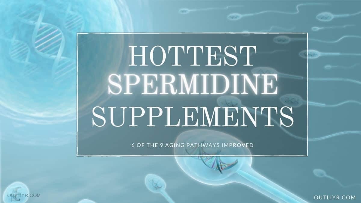 Best Spermidine Supplements Review for Healthy, Longevity & Anti-Aging