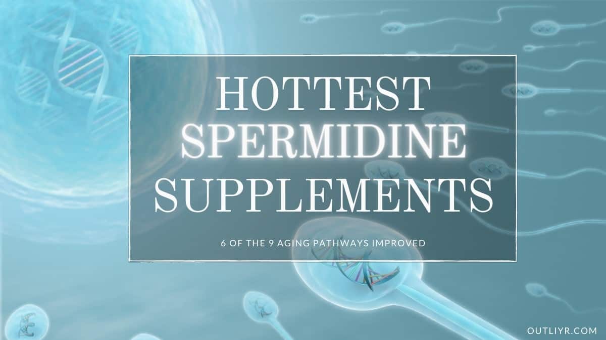 Best Spermidine Supplements Review for Healthy, Longevity & AntiAging