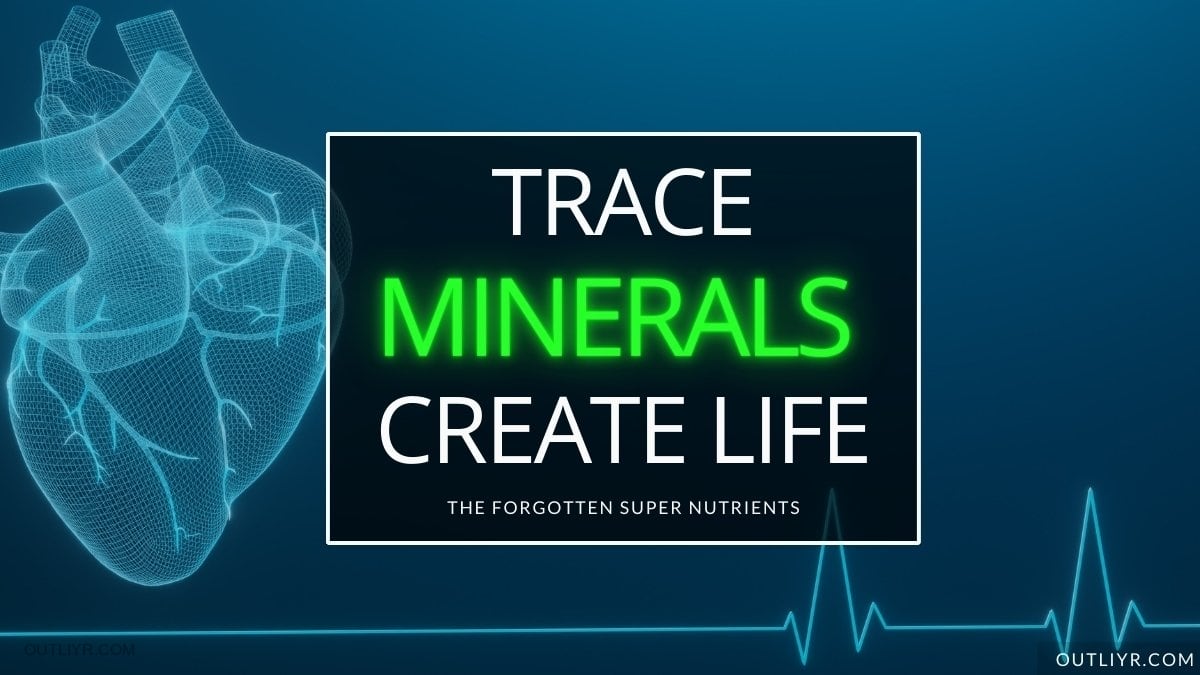 Best Trace Minerals Supplements 3