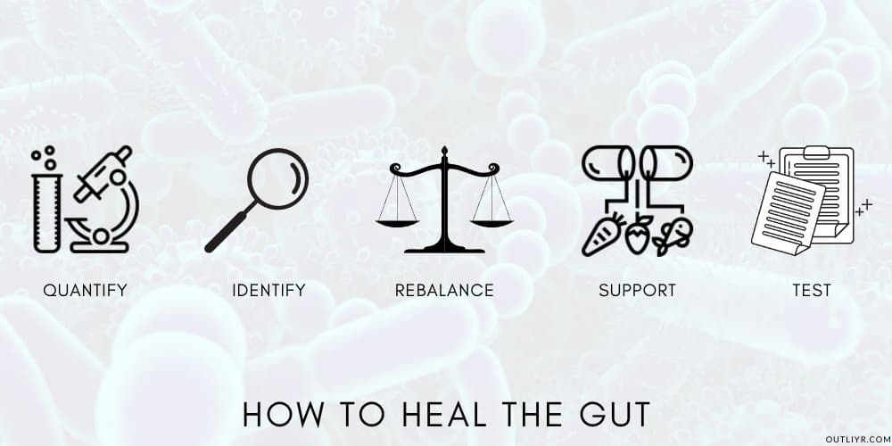 Biohack Improve Gut Health Process