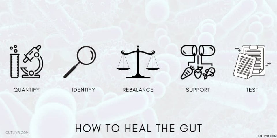 Biohack Improve Gut Health Process