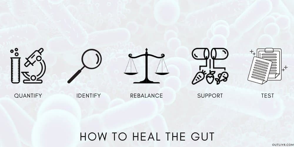 Biohack Improve Gut Health Process