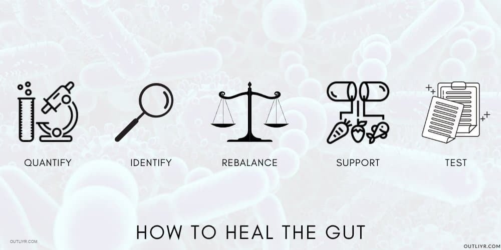 Biohack Improve Gut Health Process