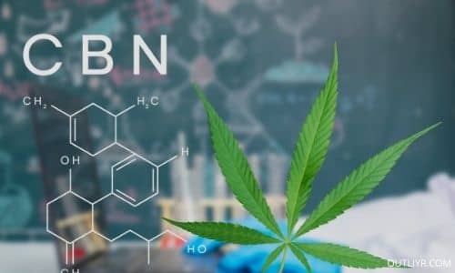 Biohacking Cannabinoids Supplements