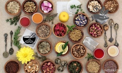 Biohacking Future Trends: Ancestral Medicine