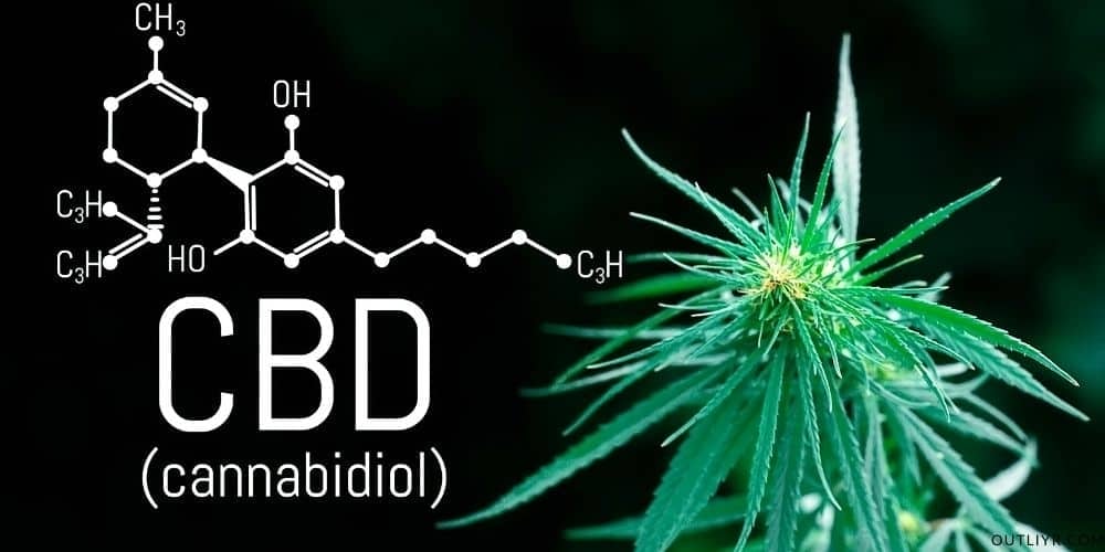 Biohacking Stress With The Endocannabinoid System (Hemp, CBD, & Other Cannabinoids)