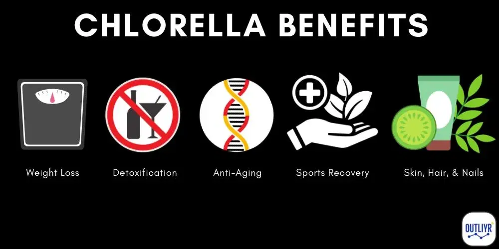 Chlorella has high chlorophyll content that helps with detoxification