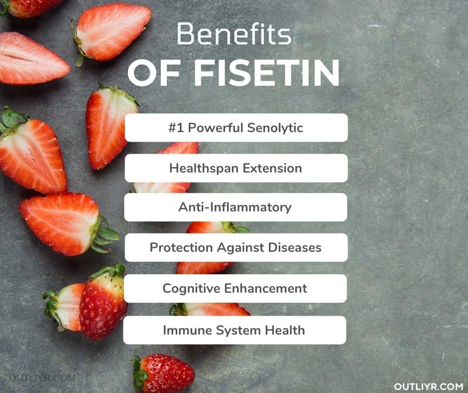 Fisetin Supplement Health Benefits