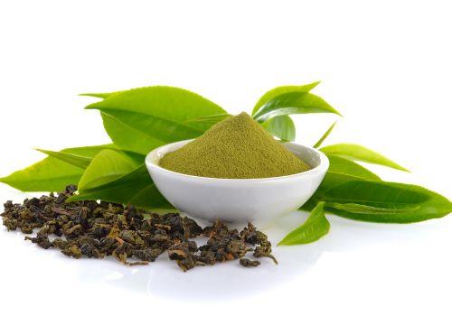 Green Tea EGCG Matcha