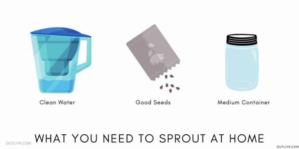 How to Grow Sprouts at Home (& Health Benefits): The FullGuide
