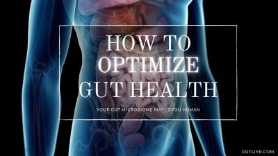 How To Biohacking Improved Gut Health