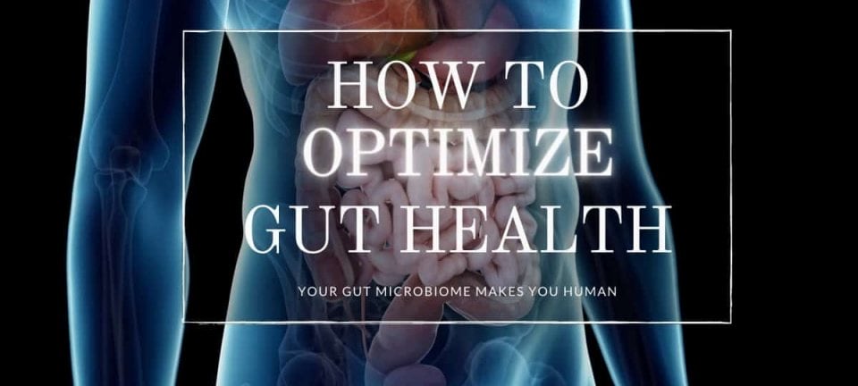 How To Biohacking Improved Gut Health
