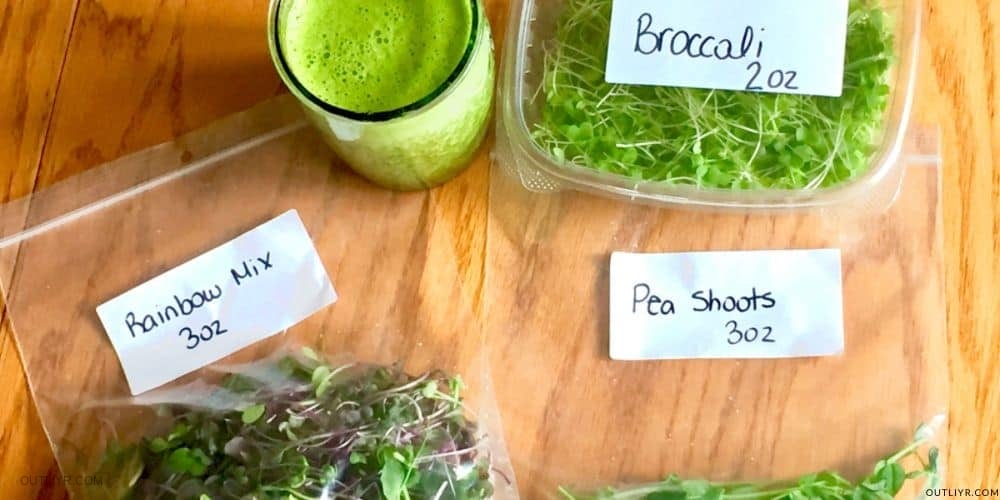 Creative Ways to Consume Sprouts & MicroGreens