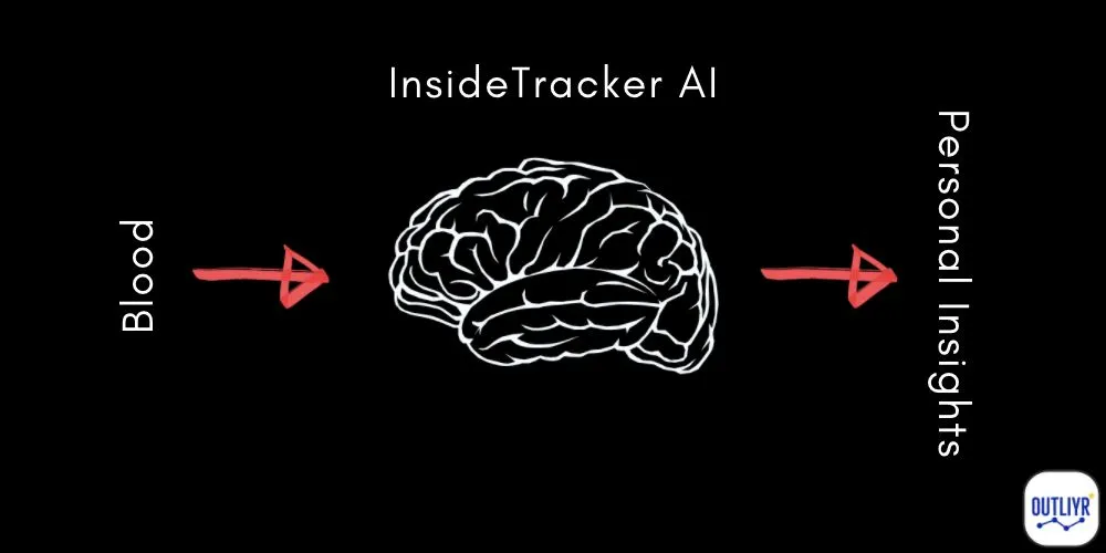 How InsideTracker Blood Tests Work