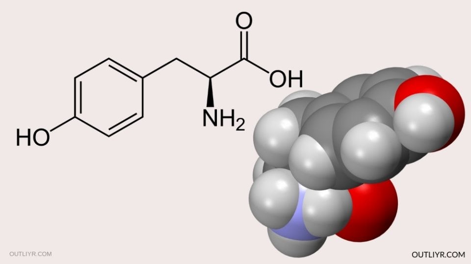 ltyrosine molecular structure, this substance is great for regulating mood, motivation, focus, and stress response